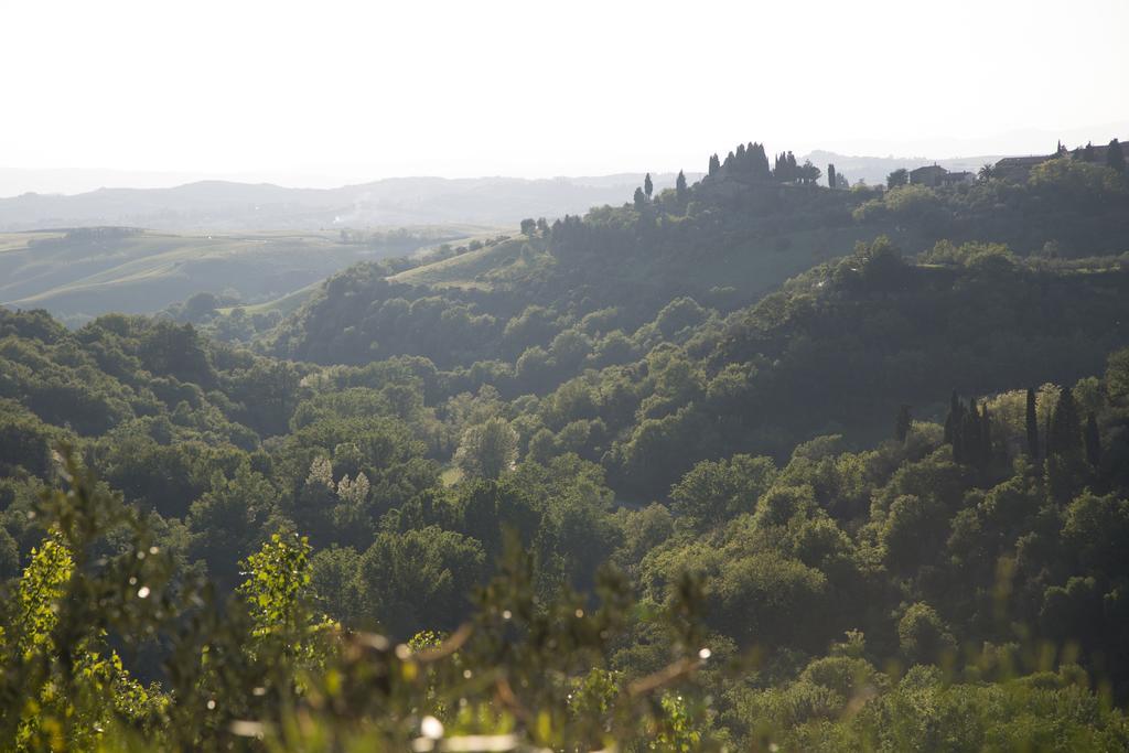Casa Sandro A Podere Pascianella Villa Castelmuzio Buitenkant foto